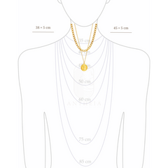 Collar choker moneda